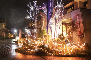 へーベルハウスつくば会場イルミネーション